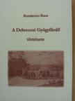 Krankovics Ilona - A Debreceni Gyógyfürdő története [antikvár]