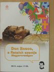 Don Bosco, a fiatalok szentje Magyarországon [antikvár]
