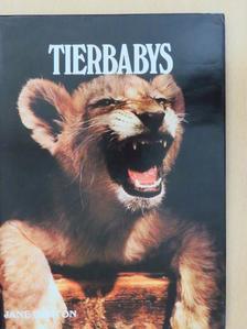 Jane Burton - Tierbabys [antikvár]