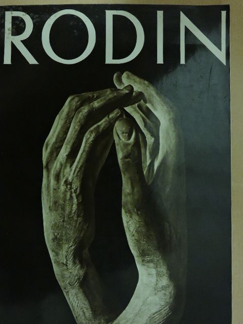 Rodin Sculptures [antikvár]