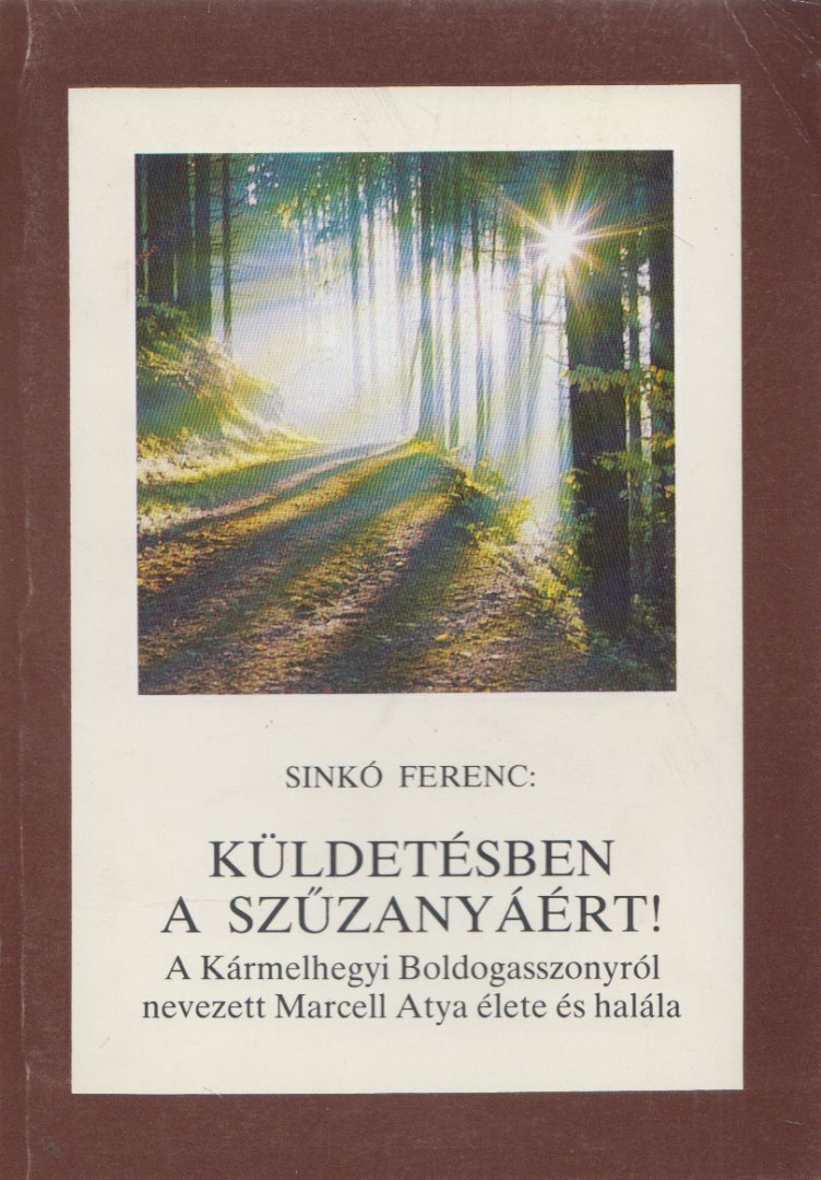 Sinkó Ferenc - Küldetésben a Szűzanyáért! [antikvár]