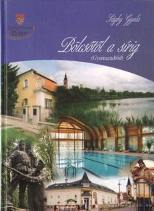 Sághy Gyula - Bölcsőtől a sírig I. kötet [antikvár]