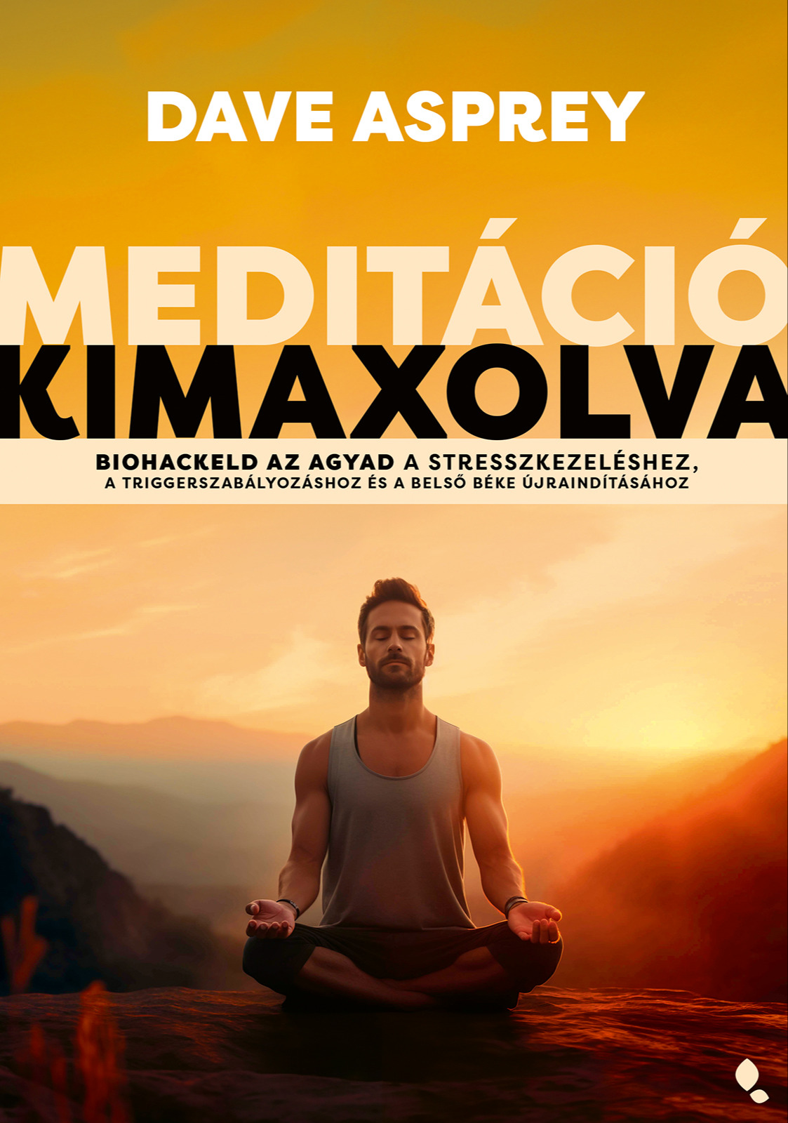 Dave Asprey - Meditáció kimaxolva [eKönyv: epub, mobi]