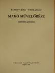 Bárkányi Júlia - Makó művelődése [antikvár]