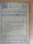 Sásdi Sándor - Egy nyár regénye [antikvár]