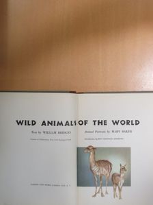 William Bridges - Wild Animals of the World [antikvár]