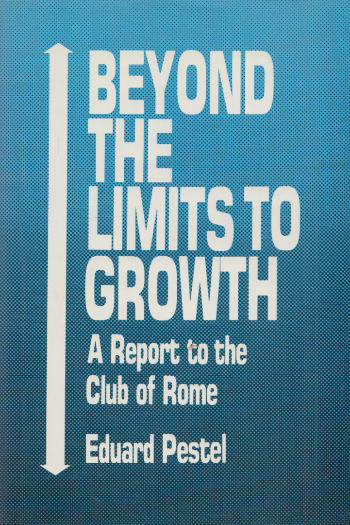 Eduard Pestel - Beyond the Limits to Growth [antikvár]