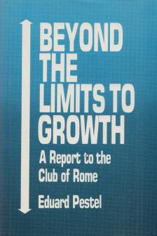 Eduard Pestel - Beyond the Limits to Growth [antikvár]