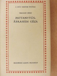 Terplán Zénó - Pattantyús-Ábrahám Géza [antikvár]