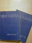 Dányi Dezső - Demográfia 1988. [antikvár]