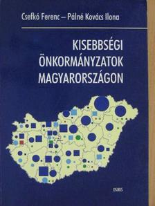 Dombi Péter - Kisebbségi önkormányzatok Magyarországon [antikvár]