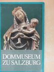 Adolf Hahnl - Dommuseum und alte erzbischöfliche Kunst- und Wunderkammer zu Salzburg [antikvár]
