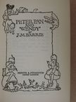 J. M. Barrie - Peter Pan and Wendy [antikvár]