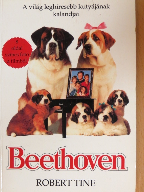 Robert Tine - Beethoven [antikvár]