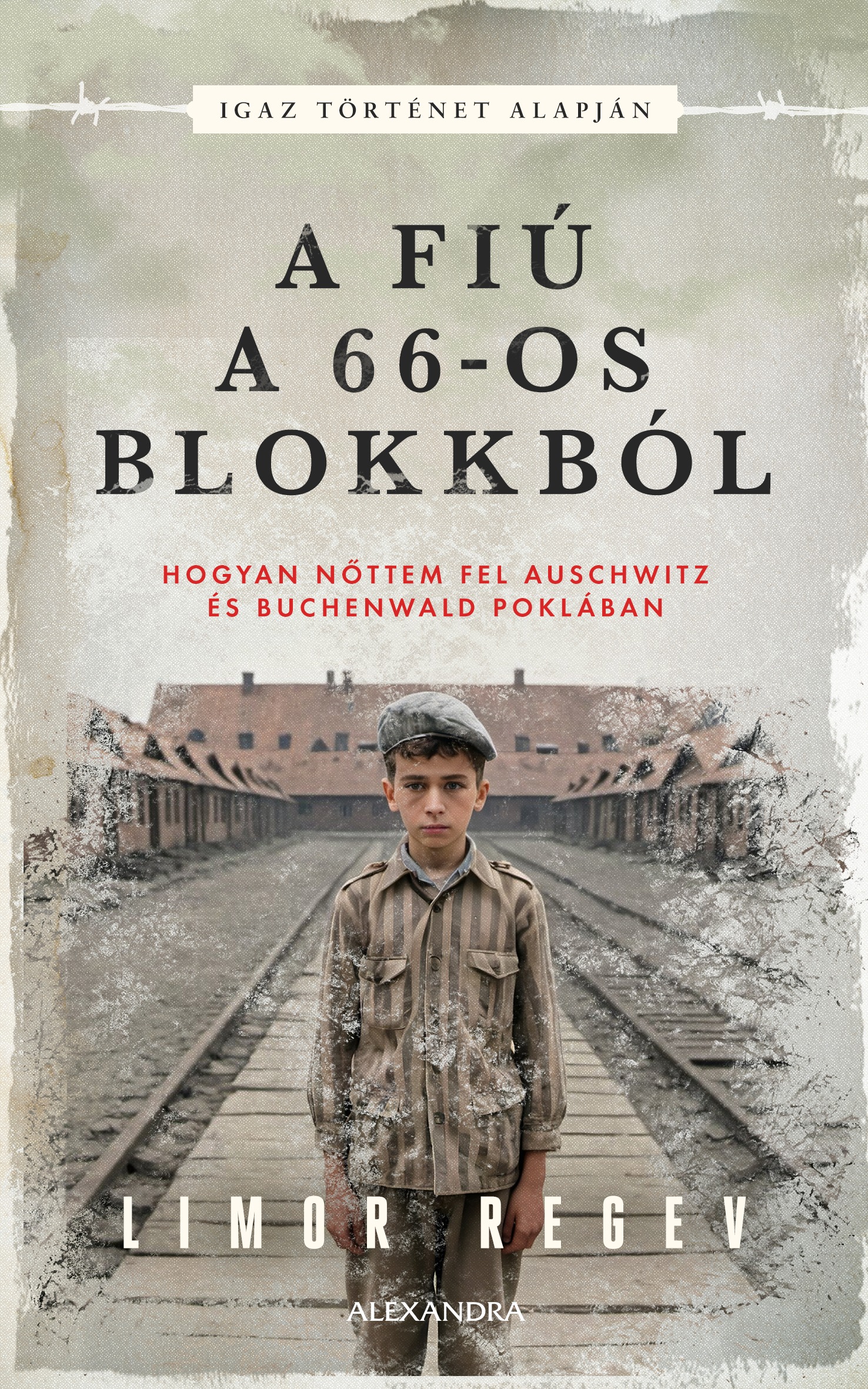 Limor Regev - A fiú a 66-os blokkból [eKönyv: epub, mobi]