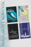 Dorothy Koomson, Horowitz, Anthony, Ivey, Eowyn, David BALDACCI - Az ártatlan / Barátnőm kislánya / A selyemház titka / A hóleány [antikvár]