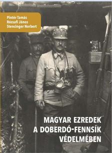 Stencinger-Rózsafi-Pintér - Magyar ezredek a Doberdó-fennsík védelmében