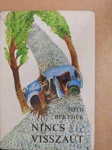 Tóth Benedek - Nincs visszaút [antikvár]