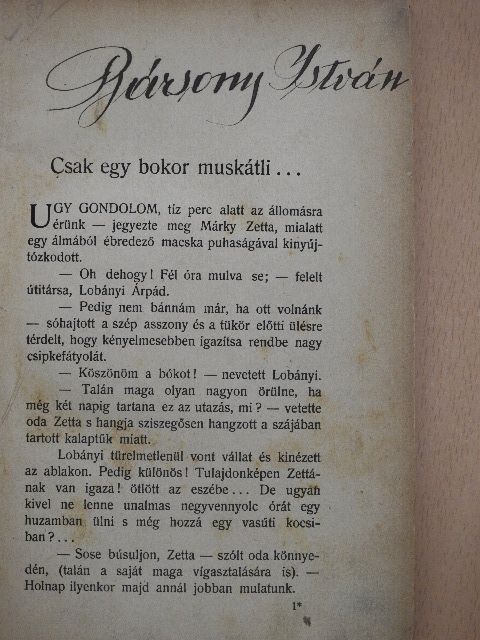 gróf Teleki Sándorné - Csak egy bokor muskátli [antikvár]