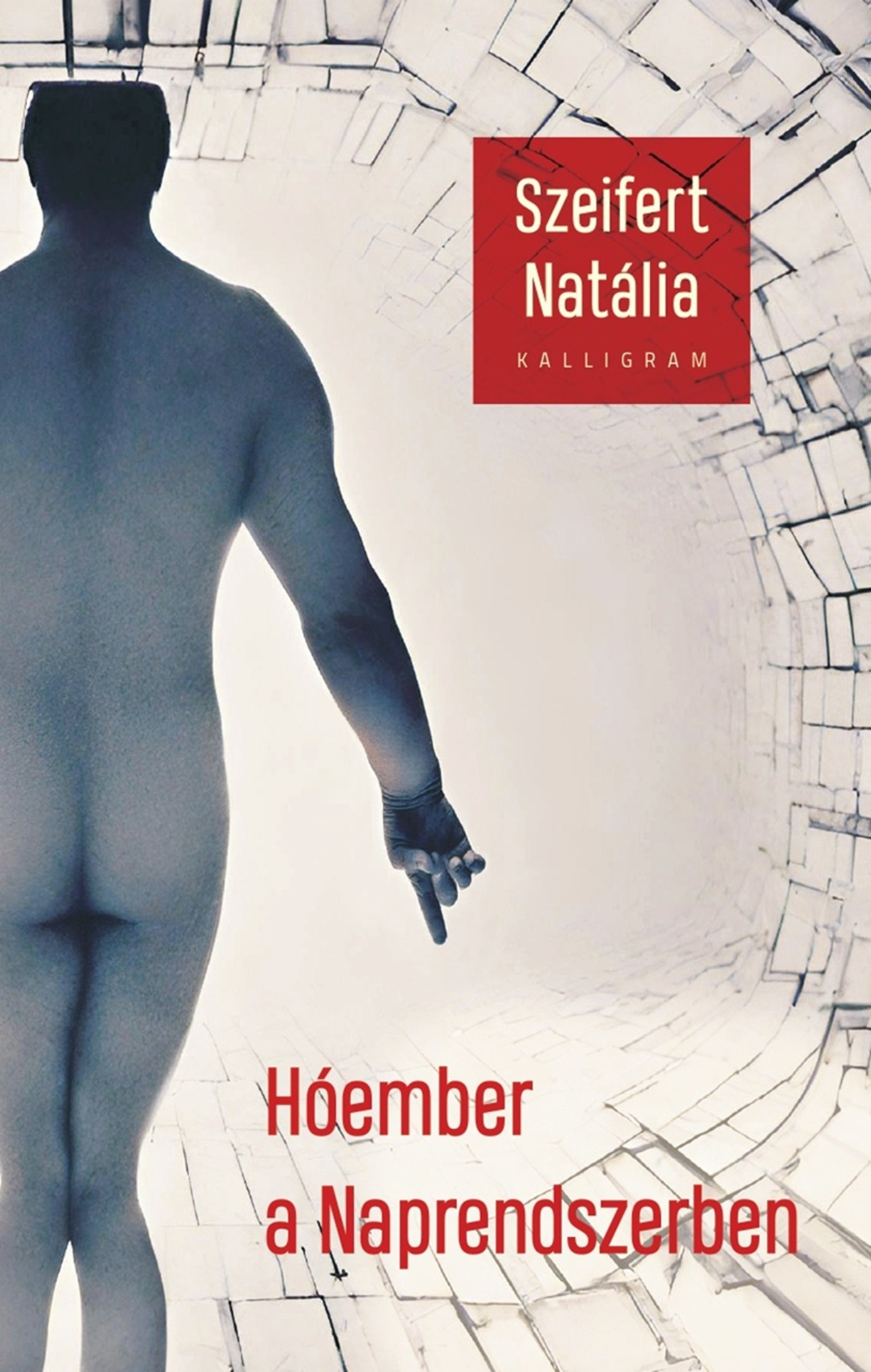 Szeifert Natália - Hóember a Naprendszerben