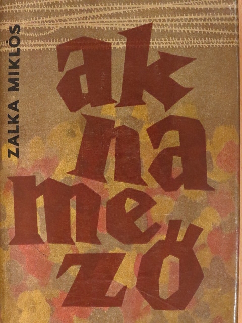 Zalka Miklós - Aknamező [antikvár]