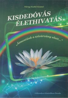 Náray-Szabó Gézáné - Kisdedóvás - Élethivatás [antikvár]