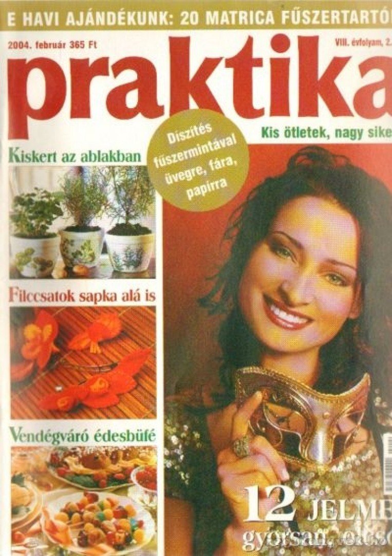 Boda Ildikó (főszerk.) - Praktika 2004. február 2. szám [antikvár]
