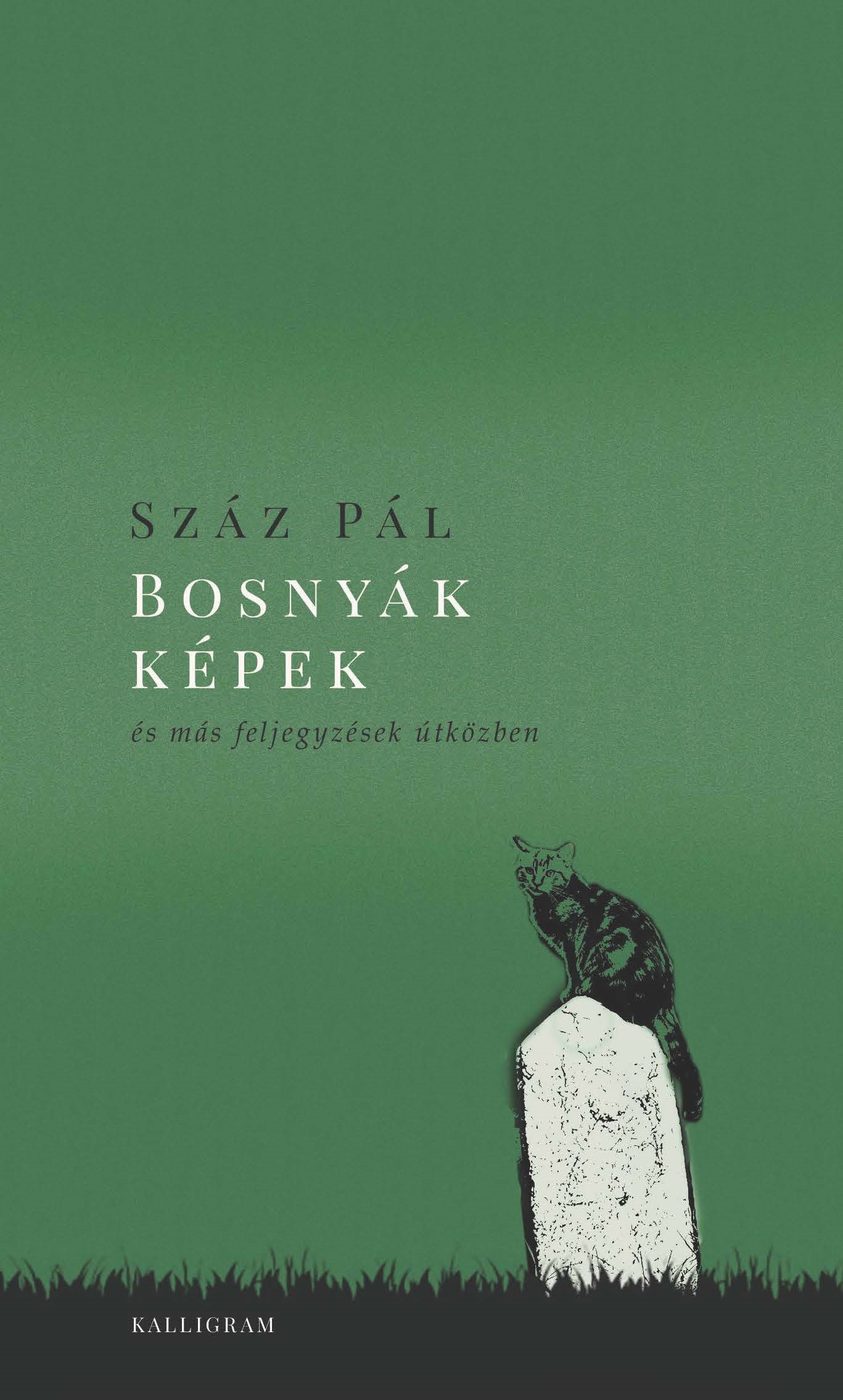 Száz Pál - Bosnyák képek