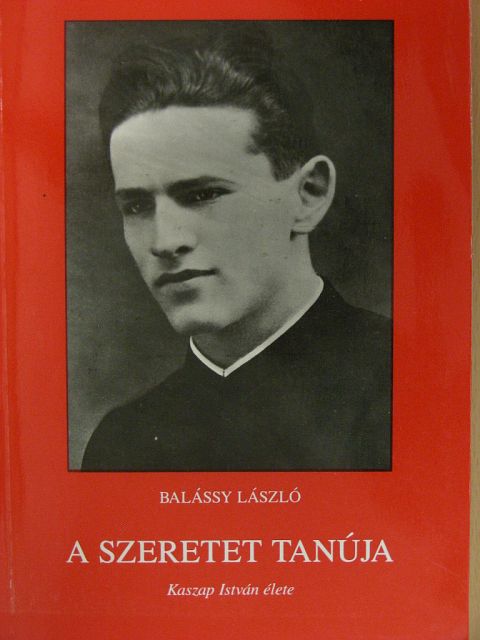 Balássy László - A szeretet tanúja [antikvár]