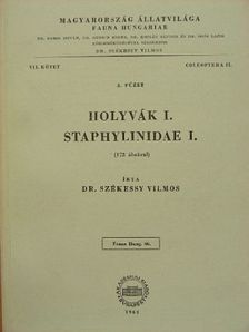 Dr. Székessy Vilmos - Holyvák I. [antikvár]