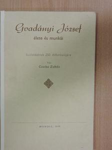 Csorba Zoltán - Gvadányi József élete és munkái [antikvár]