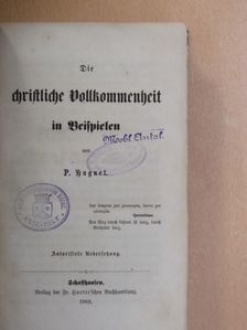 Mathias Heufer - Die christliche Vollkommenheit in Beispielen/Leben heiliger Kinder aus allen christlichen Jahrhunderten (gótbetűs) [antikvár]