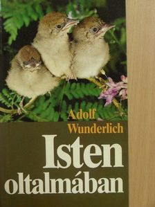 Adolf Wunderlich - Isten oltalmában [antikvár]