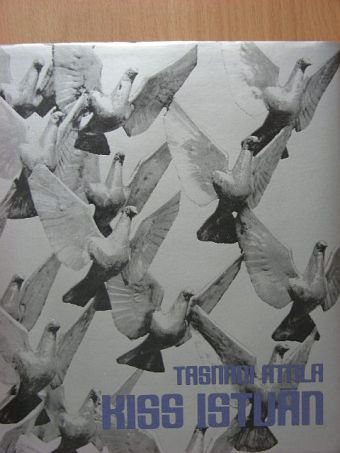 Tasnádi Attila - Kiss István [antikvár]