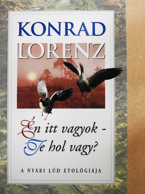 Konrad Lorenz - Én itt vagyok - Te hol vagy? [antikvár]