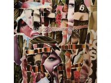 The Carbonfools - Carbonsweet - CD -