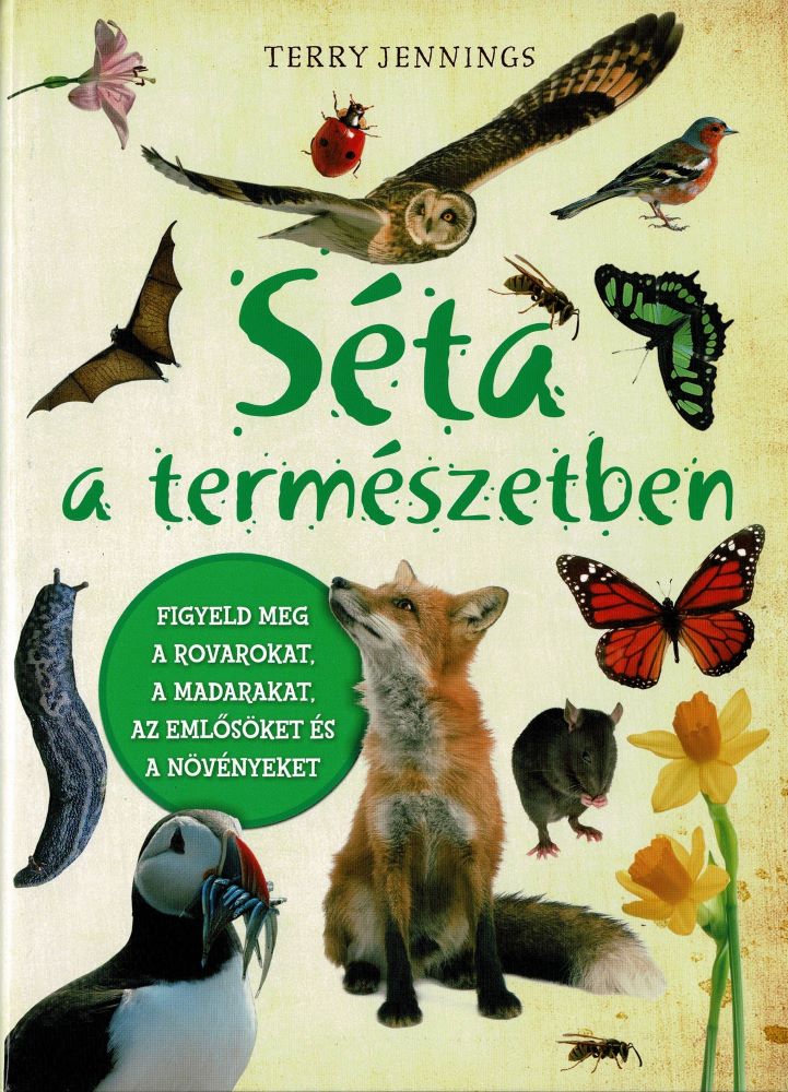 Terry Jennings - Séta a természetben (új)