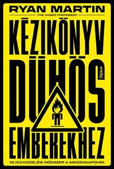 Ryan Martin - Kézikönyv dühös emberekhez
