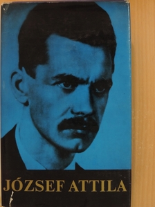 Antonín Matej Písa - József Attila minden verse és versfordítása [antikvár]