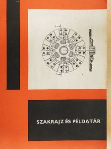 Bangha József - Szakrajz és példatár [antikvár]