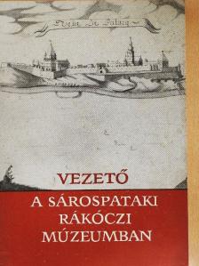 Détshy Mihály - Vezető a sárospataki Rákóczi Múzeumban [antikvár]