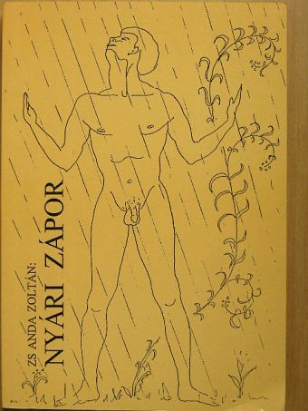 Zs. Anda Zoltán - Nyári zápor [antikvár]