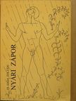 Zs. Anda Zoltán - Nyári zápor [antikvár]