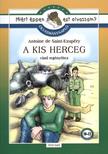 Rágyanszky Zsuzsanna - A kis herceg - olvasmánynapló