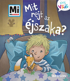 Benjamin Schreuder - Mit rejt az éjszaka? - Mi MICSODA Kicsi világ 3.