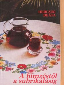 Herczeg Beáta - A hímzéstől a subrikálásig [antikvár]