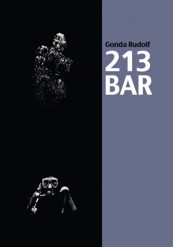 Rudolf Gonda - 213 bar [eKönyv: epub, mobi]