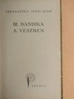 Tersánszky Józsi Jenő - III. Bandika a vészben [antikvár]