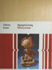 Zákány Eszter - Agyagművesség [antikvár]