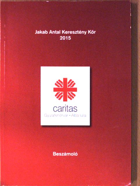 Sebestyén Péter - Beszámoló 2015. [antikvár]